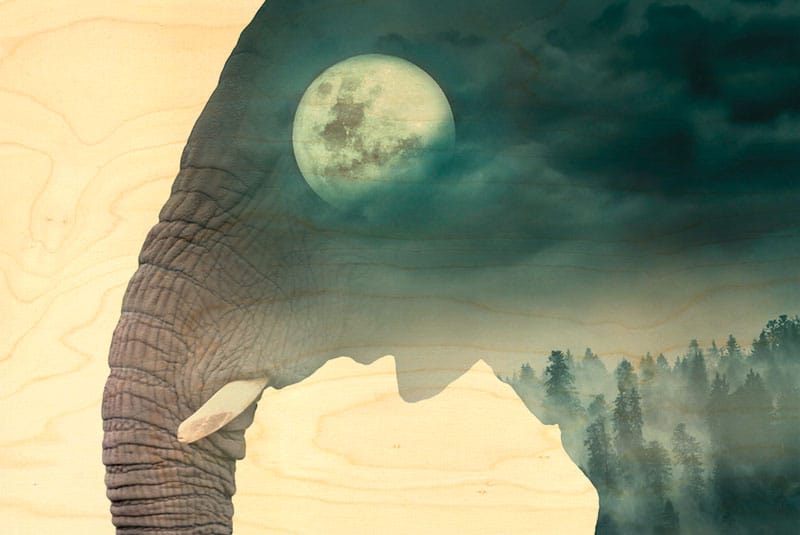 hironwoods-el-phant-lune-carte-postale-bois-100x150mm-animal image 1