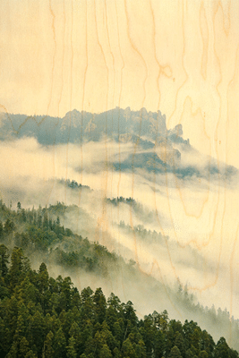 hironwoods-montagne-for-t-brume-carte-postale-bois-100x150mm image 1